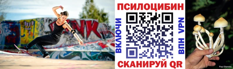 Галлюциногенные грибы прущие грибы  купить   Нахабино 