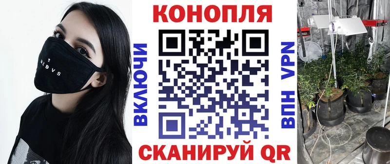 Шишки марихуана White Widow  наркотики  Нахабино 